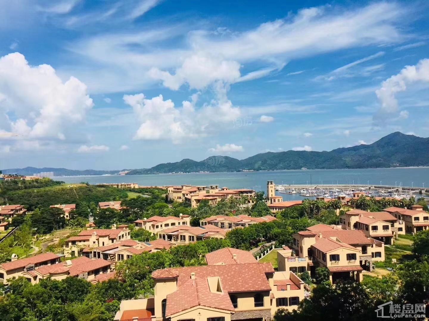 合正东部湾实景图