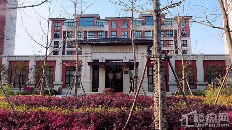 汇智津园实景图