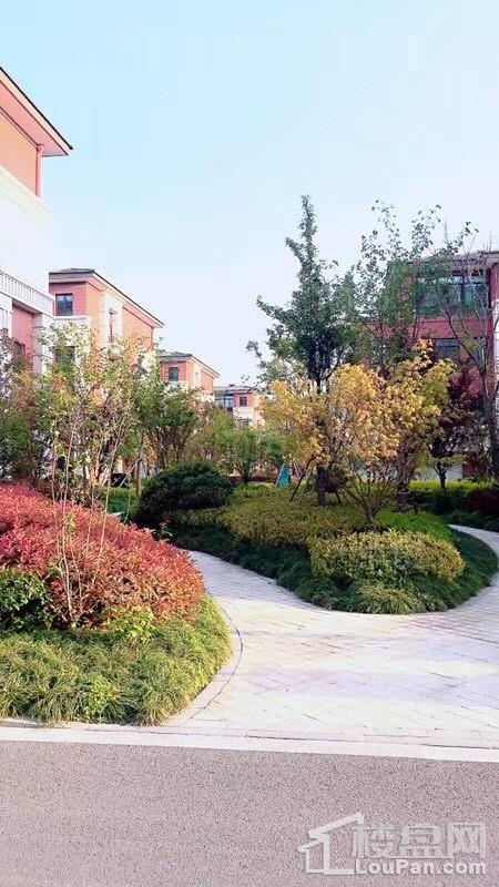汇智津园实景图
