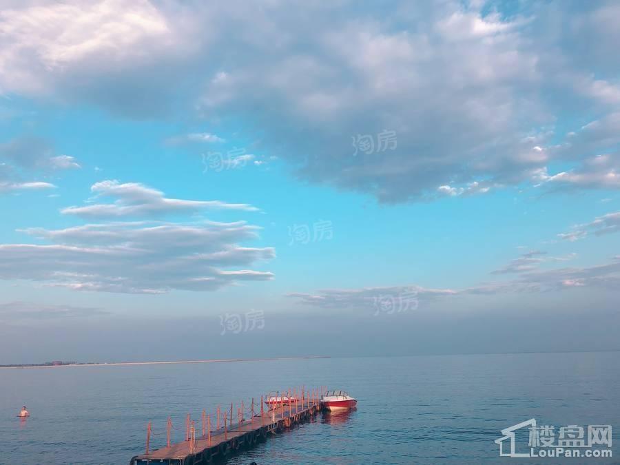 实景图
