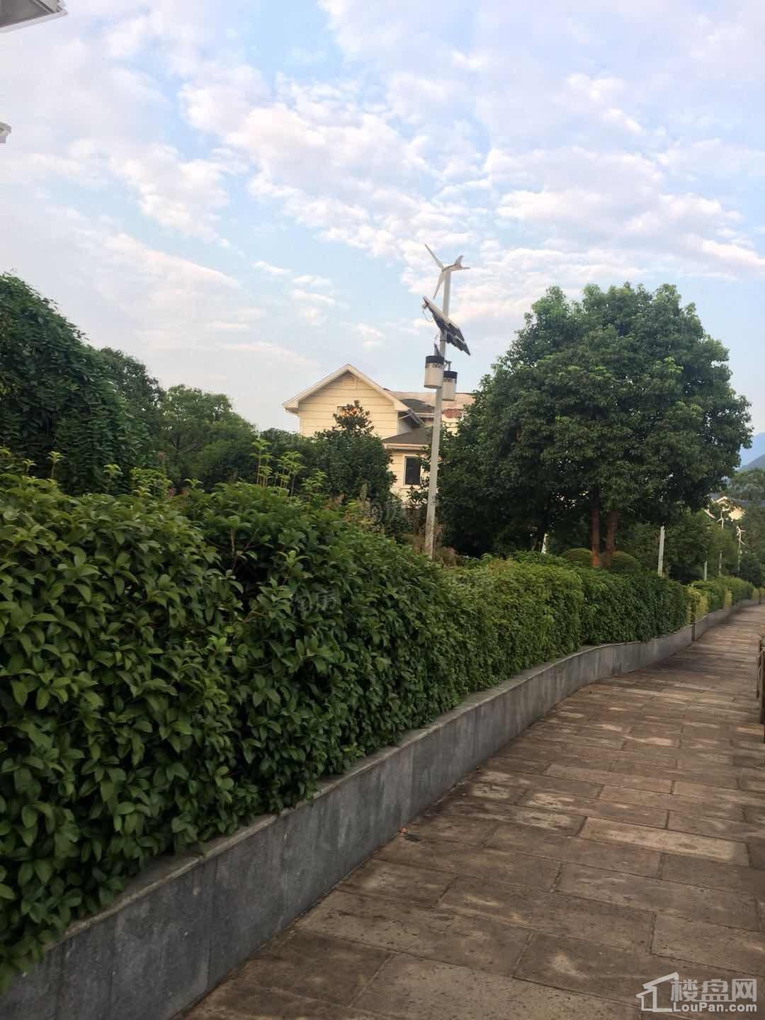 维多利亚庄园实景图
