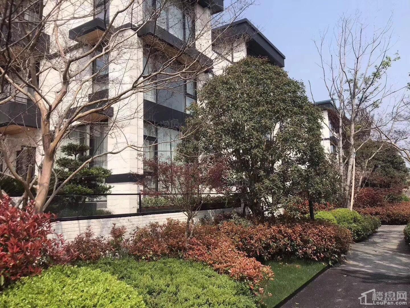 暖山金域城实景图