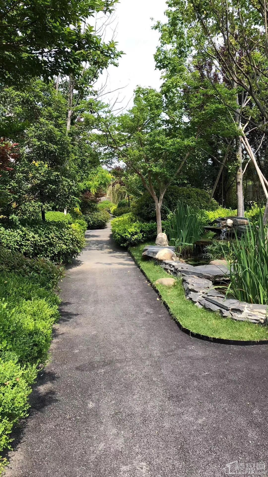 暖山金域城实景图