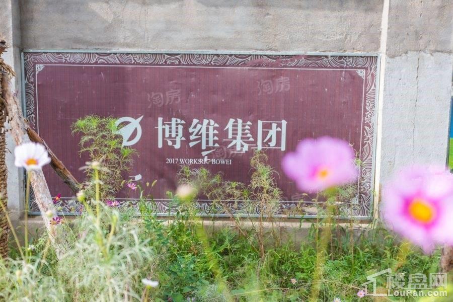 实景图