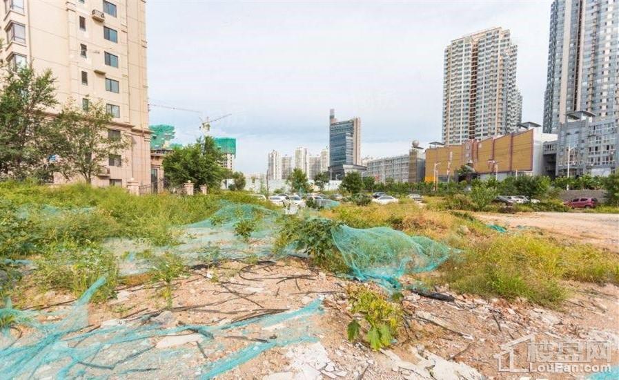 博维中央美墅实景图