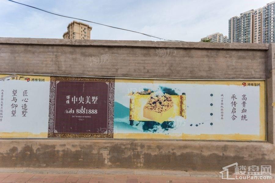 博维中央美墅实景图