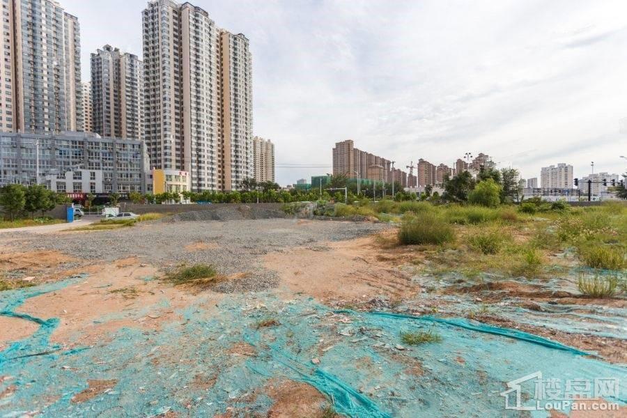 博维中央美墅实景图