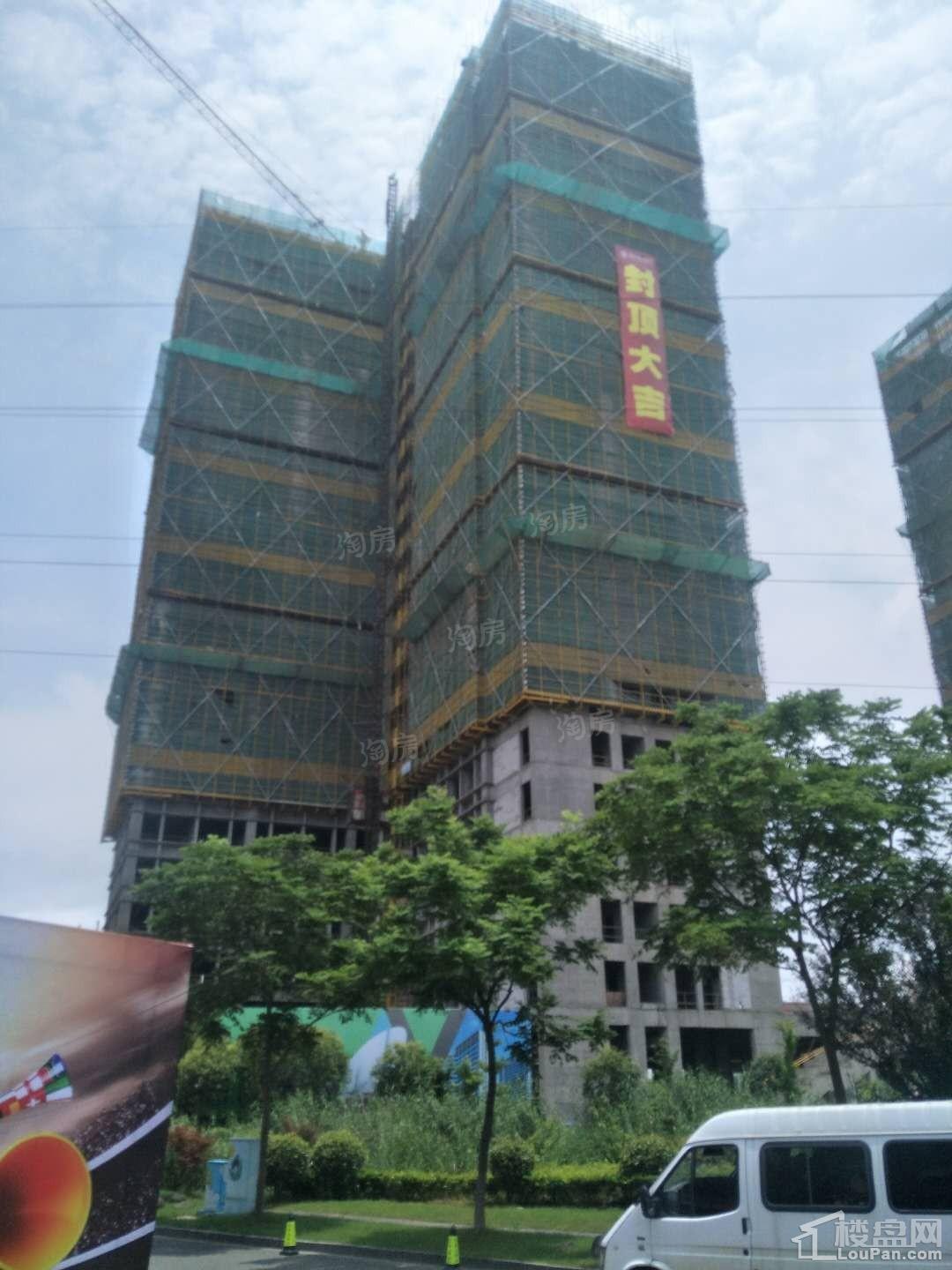 实景图