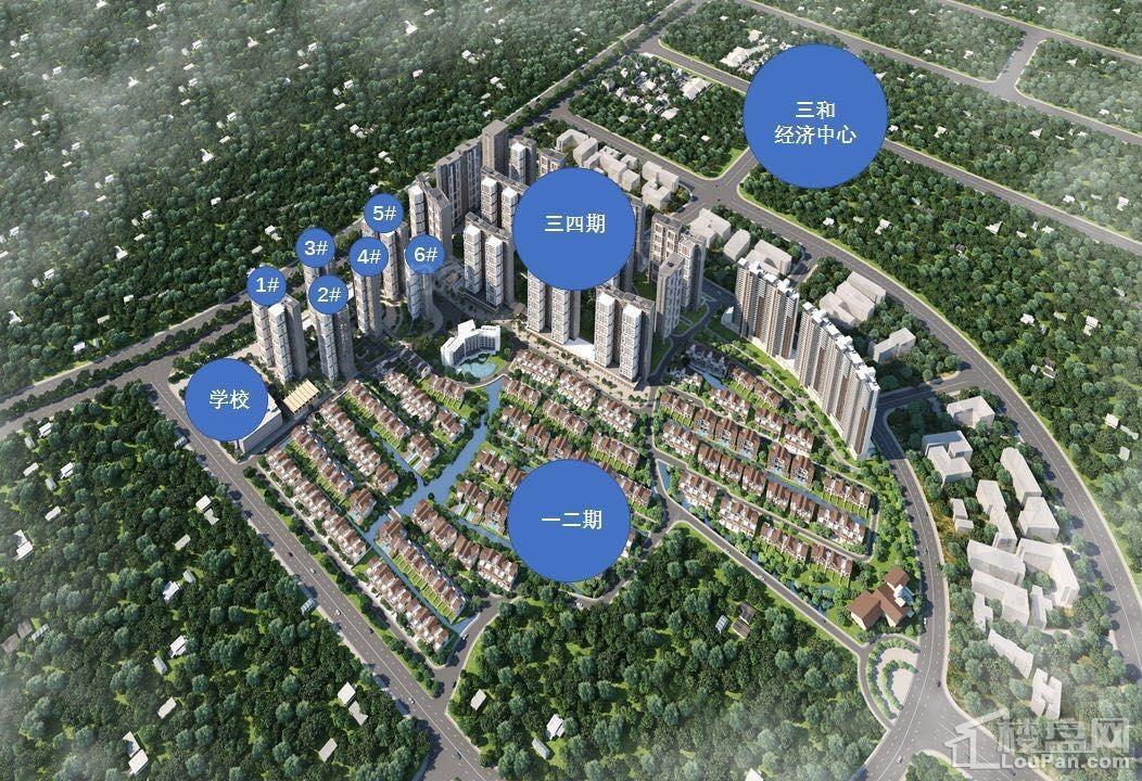 实地常春藤效果图