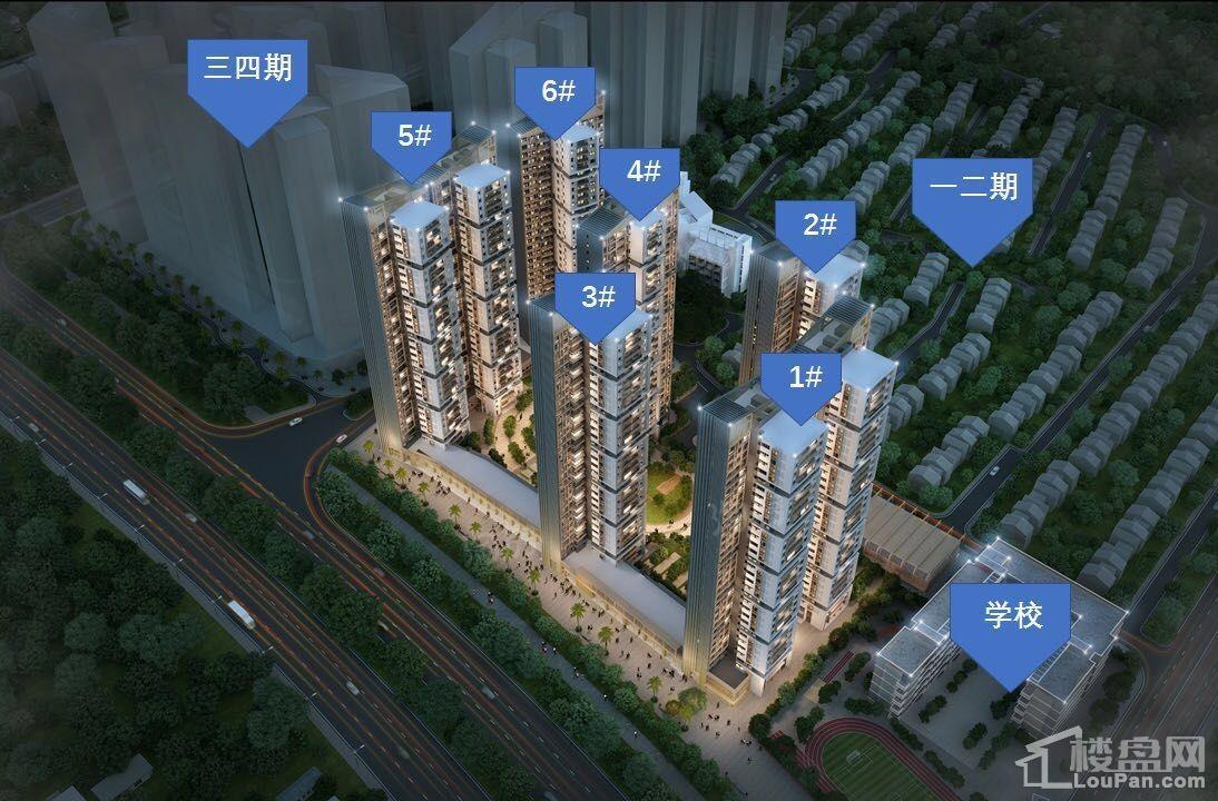 实地常春藤效果图