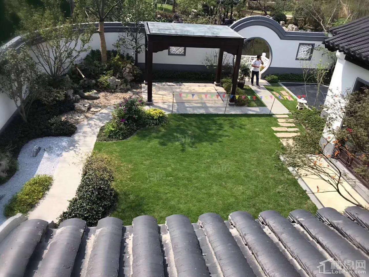 蓝城桃李春风效果图