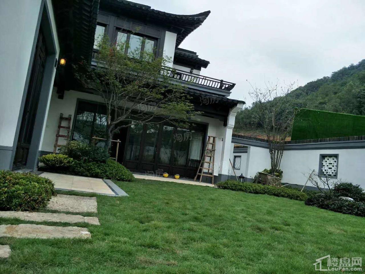 蓝城桃李春风效果图