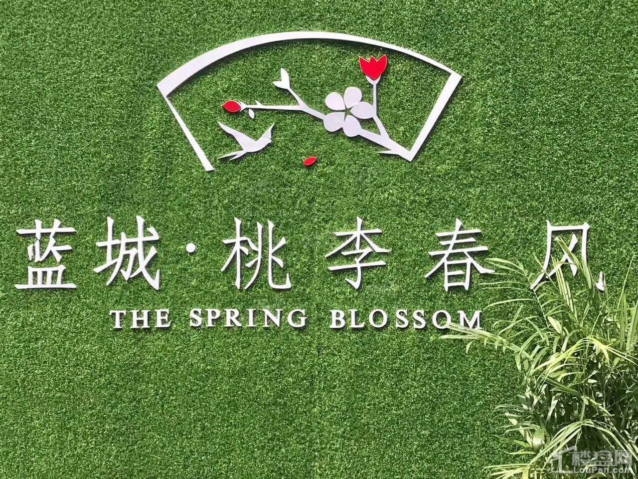 蓝城桃李春风效果图