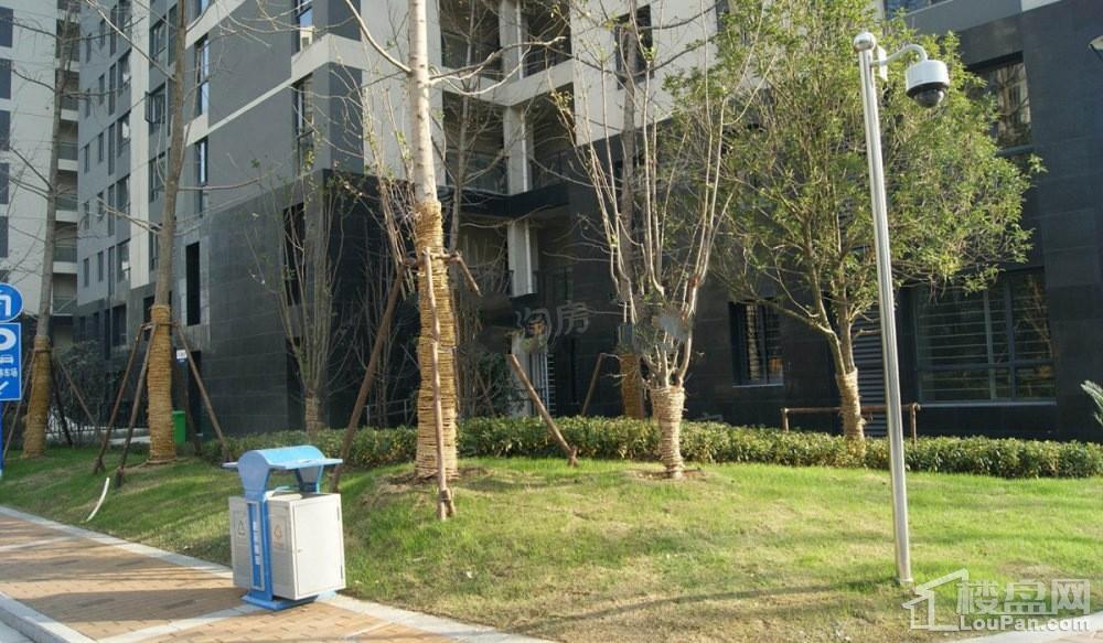 城开东岸实景图
