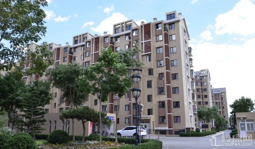城开东岸实景图