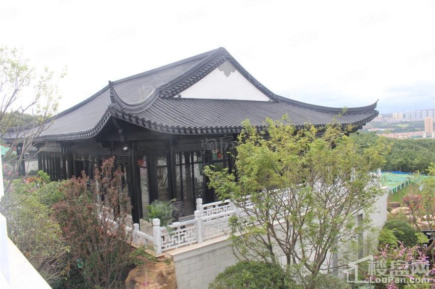 实景图