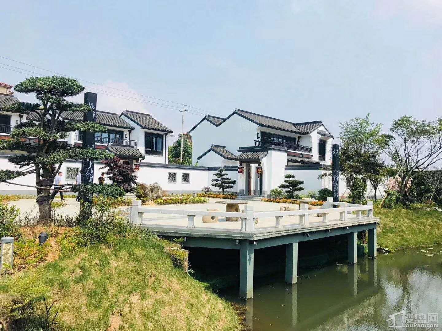 实景图