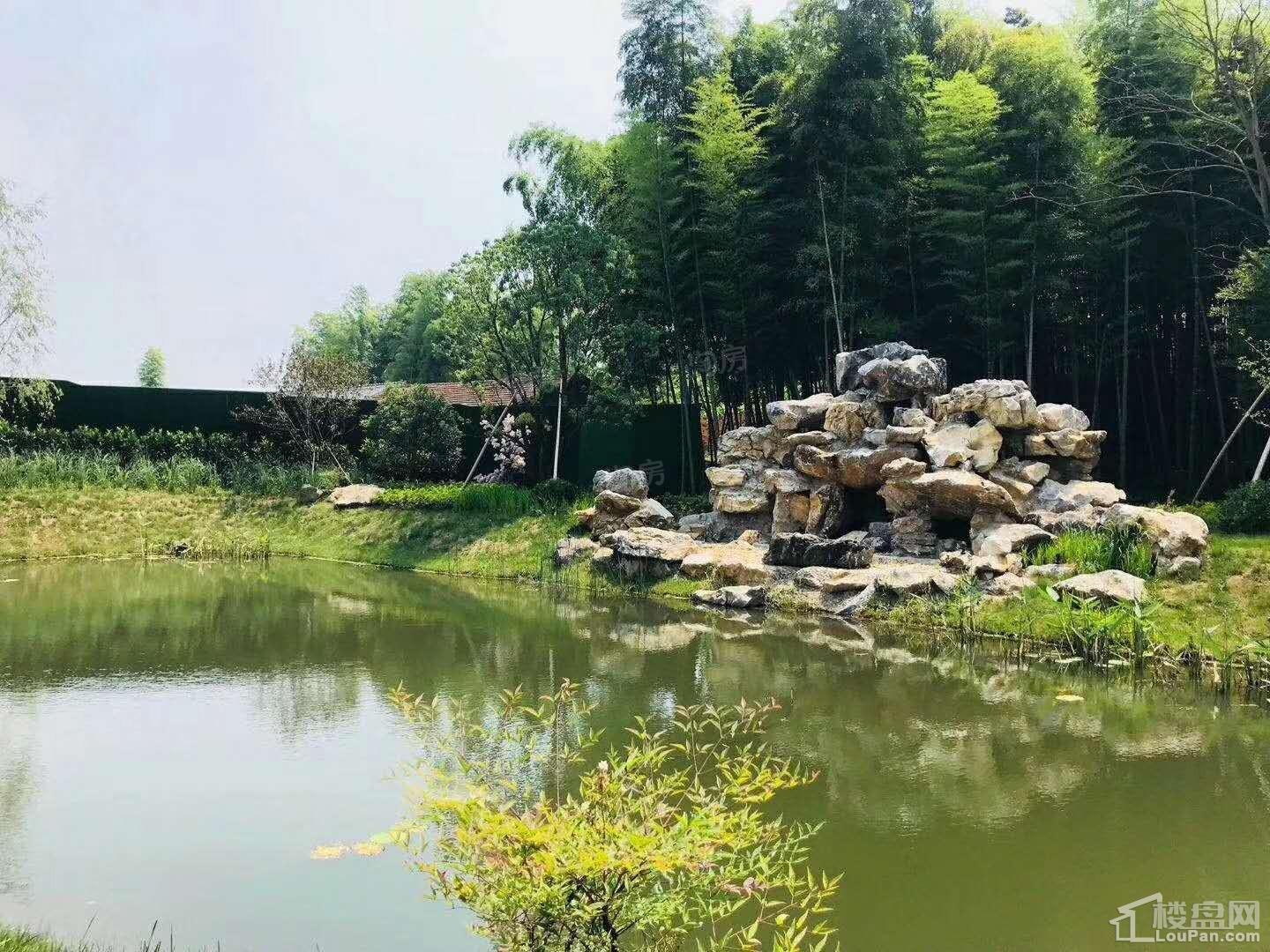 印象枫桥实景图