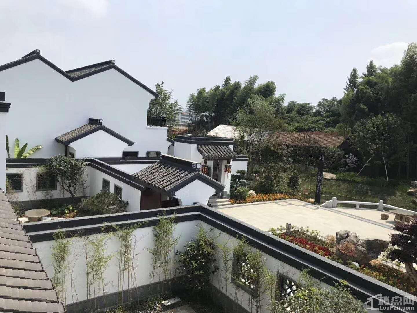 印象枫桥实景图