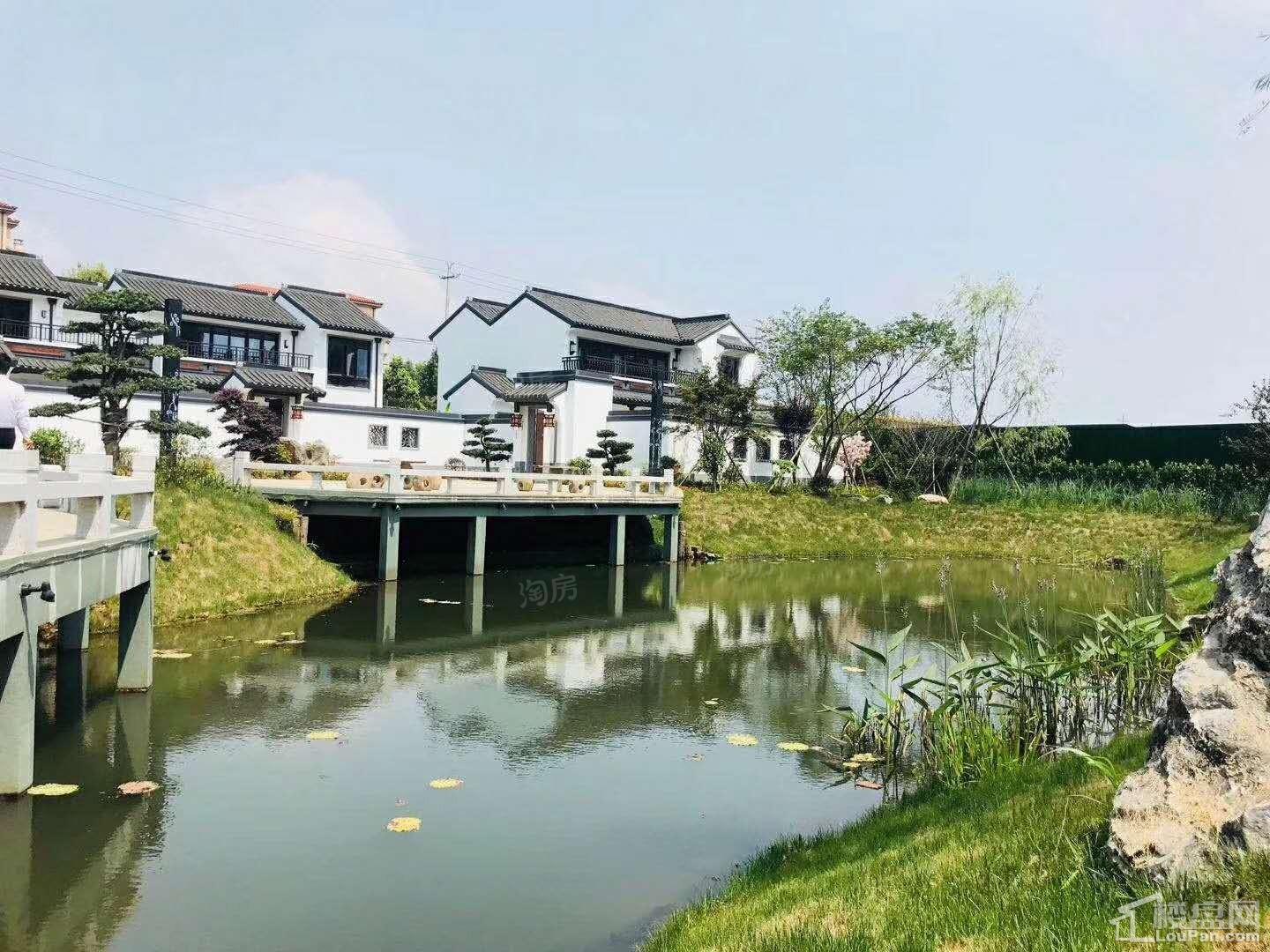 印象枫桥实景图