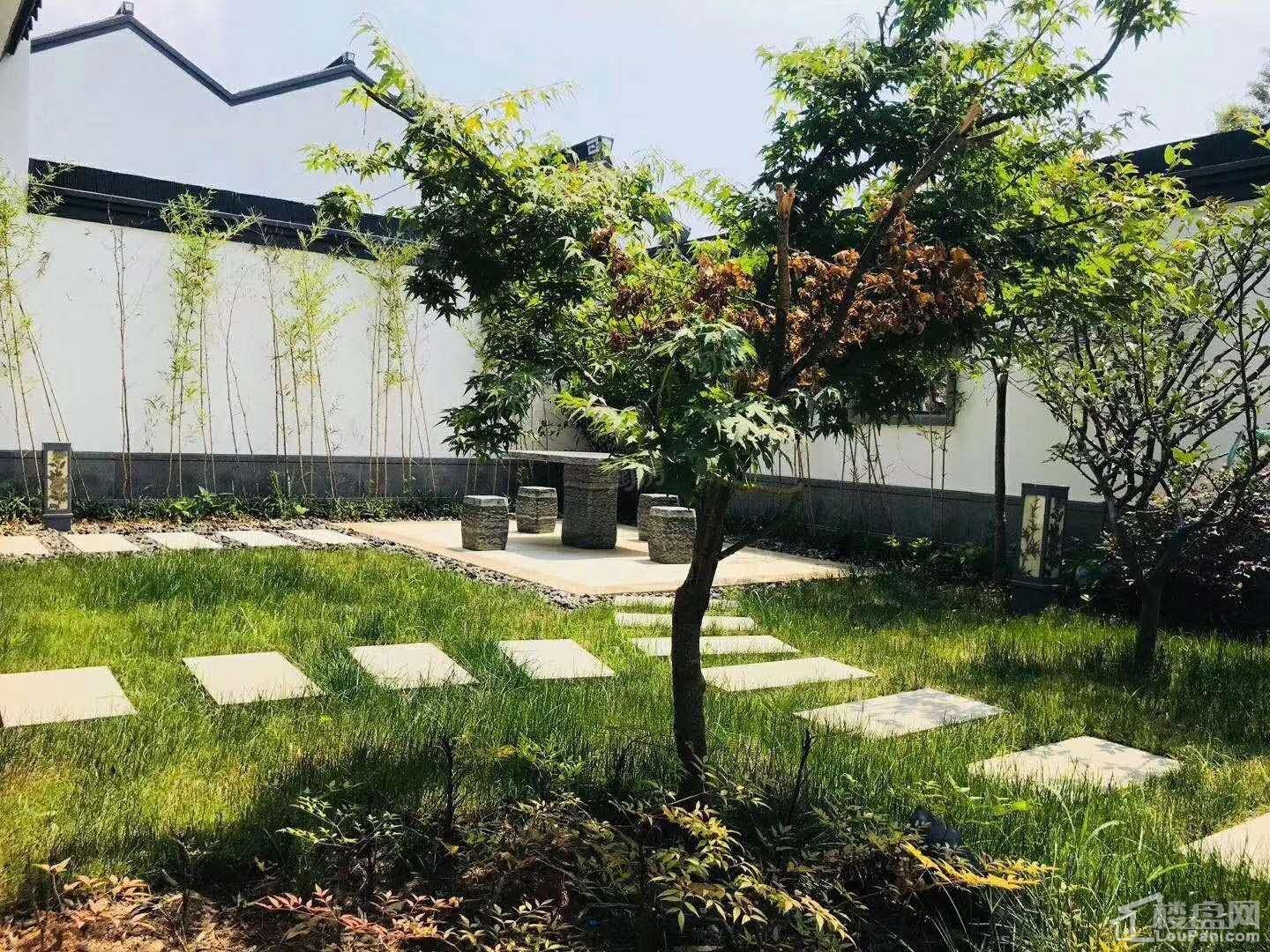 印象枫桥实景图