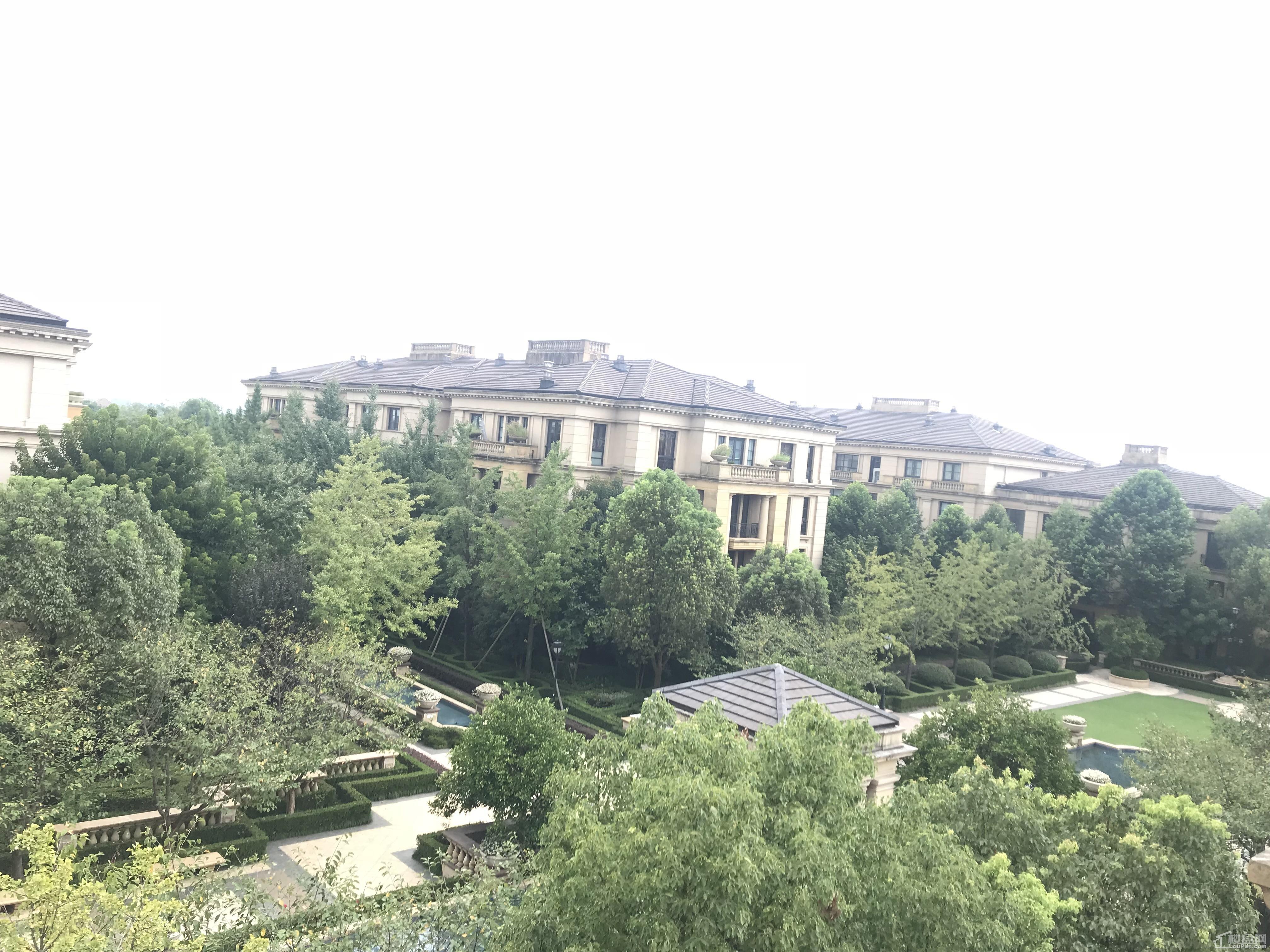 绿城玫瑰园实景图