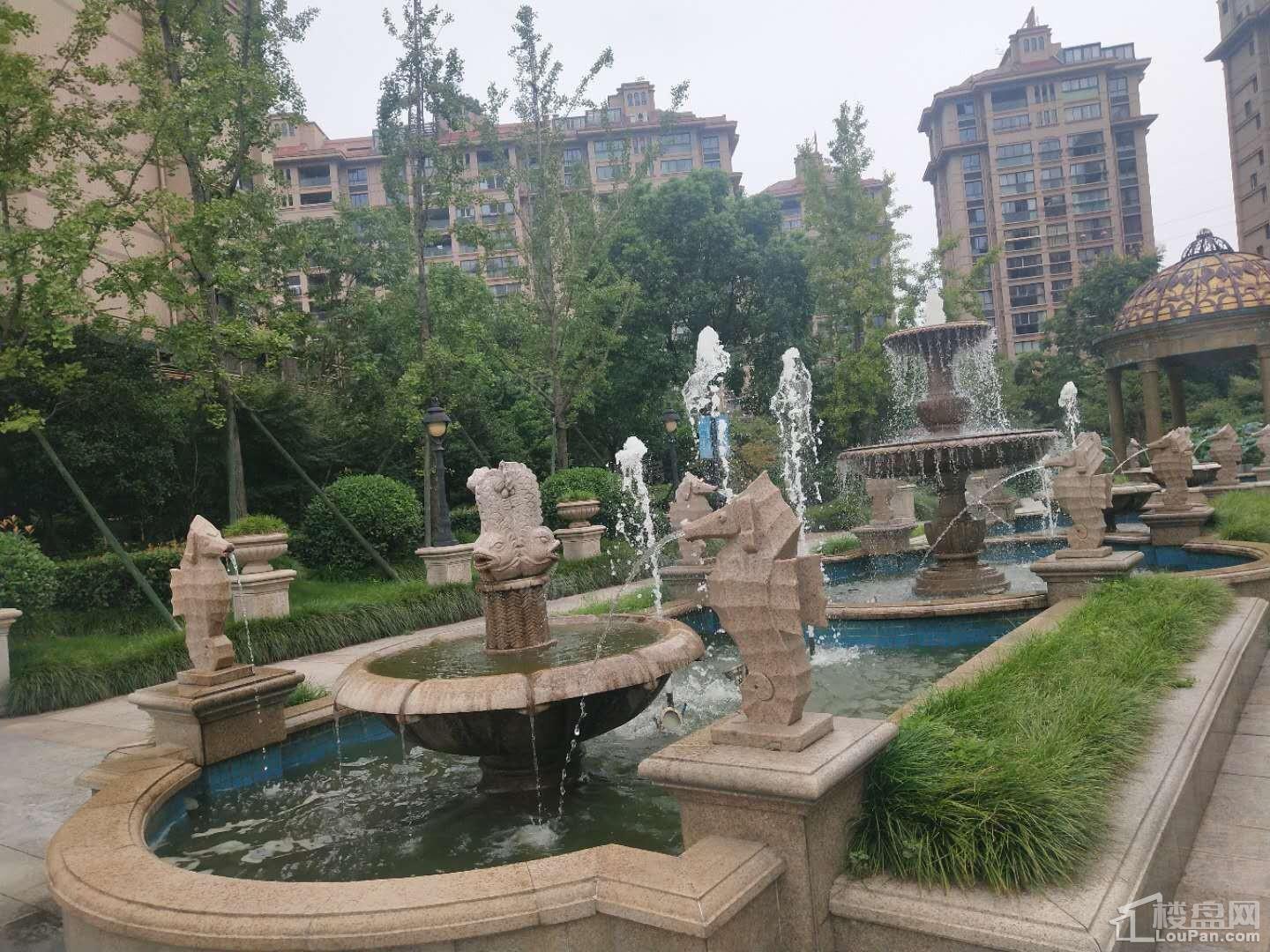 置业峰泽景园实景图