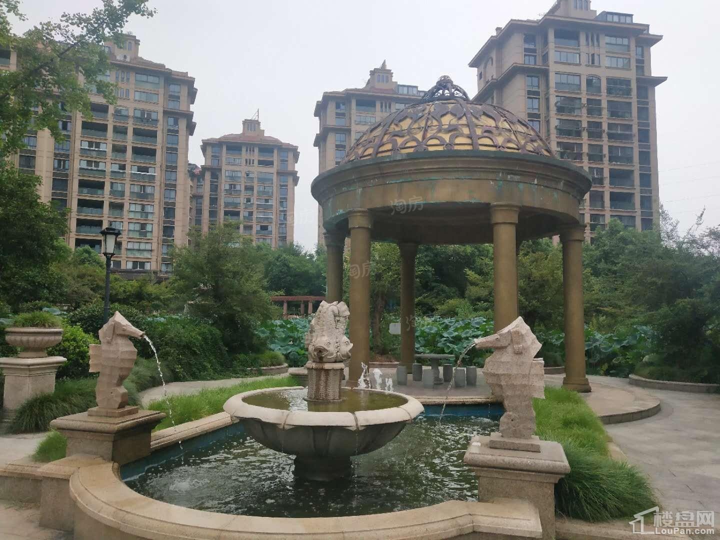 置业峰泽景园实景图
