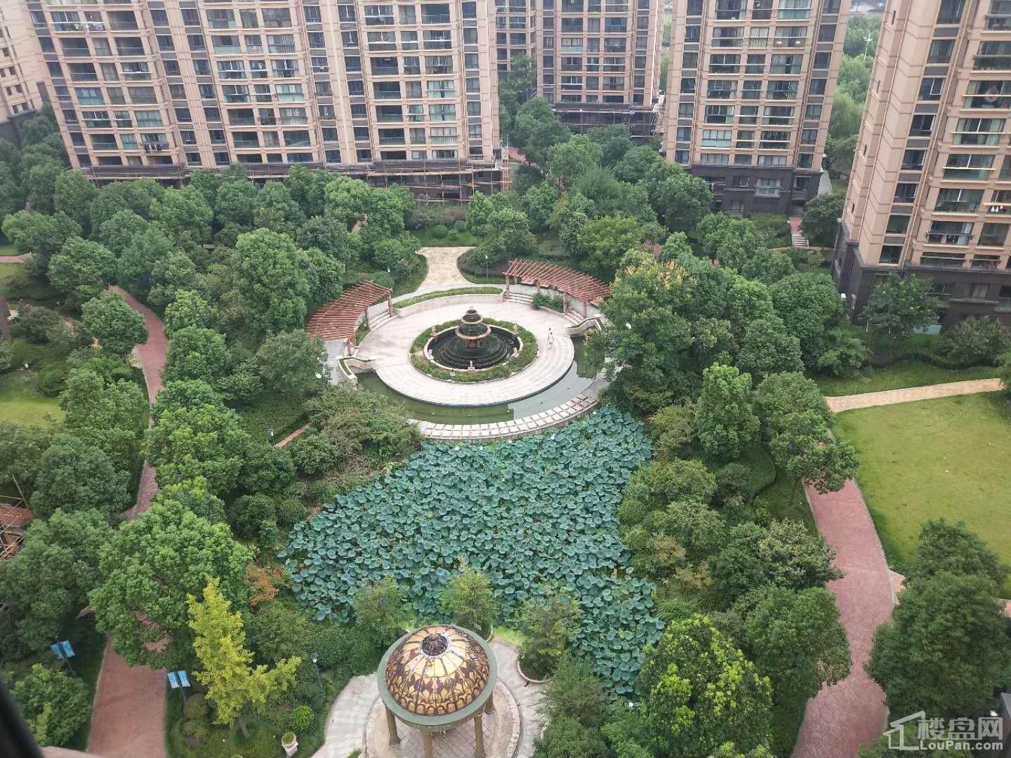 置业峰泽景园实景图