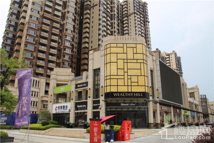 荣和悦澜山实景图